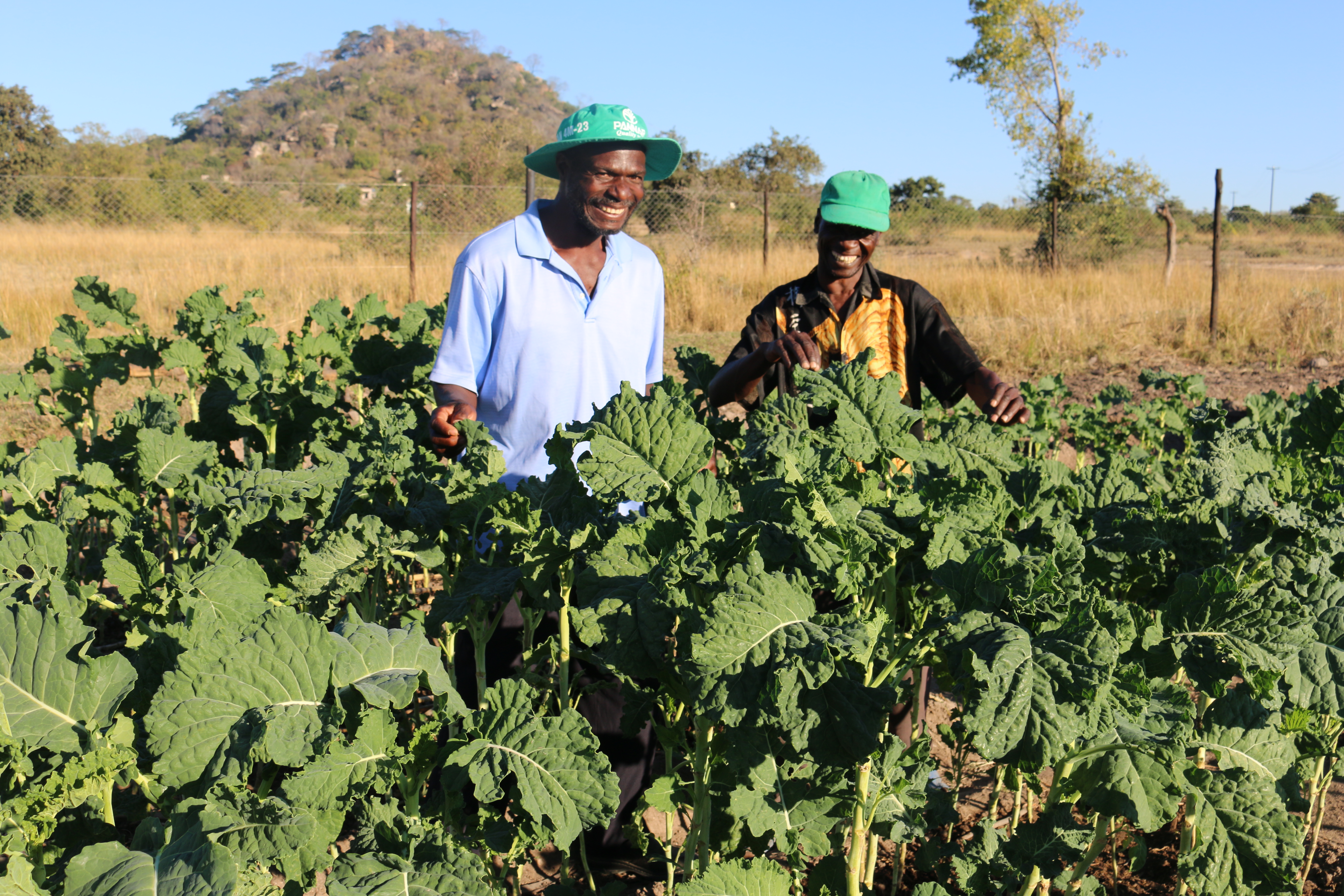 Consistent availability of appropriate food, from domestic production, commercial imports or donors