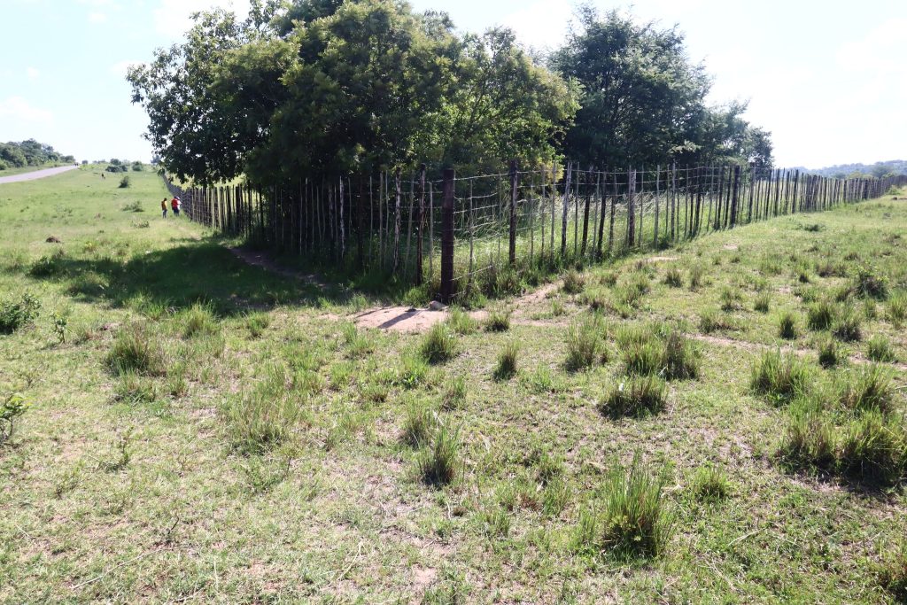 Wetland and Borehole Rehabilitation in ward 28, Majasi Zaka.