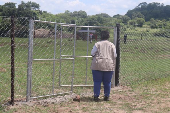 Building Sustainable Livelihoods and Climate Resilience to Mitigate Displacements in Bikita and Zaka Districts, Zimbabwe