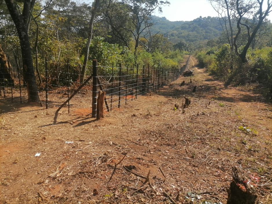 Story of Change: Chimanye Wetland and Weir, Bikita District  